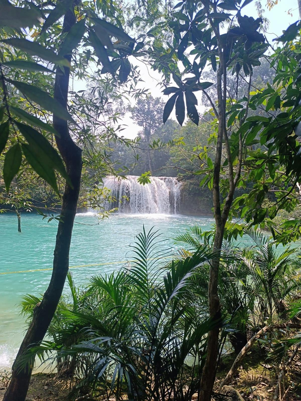 Visite de la zone archéologique de Palenque et de la cascade Roberto Barrios