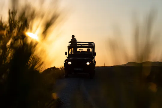 Visite guidée : Serra de Monchique en 4x4 en soirée avec repas