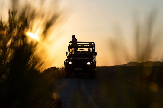 Visite guidée : Serra de Monchique en 4x4 en soirée avec repas