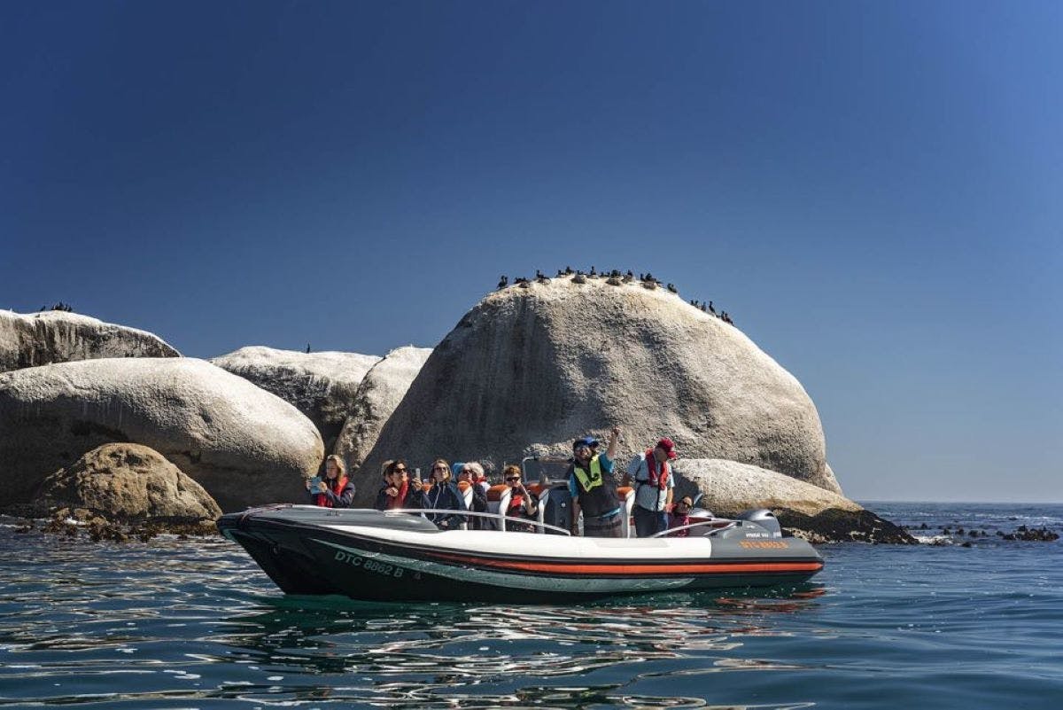 Cruzeiro de barco para observação da vida selvagem marinha na Cidade do Cabo