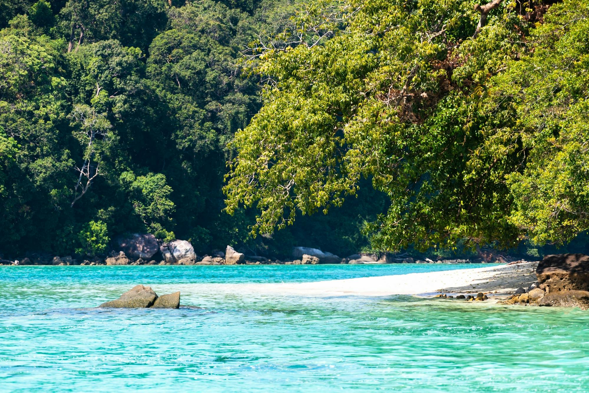 Surin Islands Tour by Speedboat