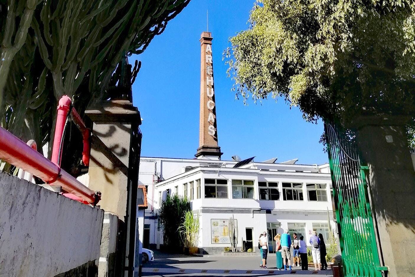 Finca Los Olivos and Rum Distillery Tour with Lunch in Guayadeque Cave