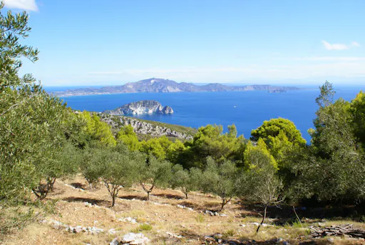 Zante Rent-a-Bike Experience