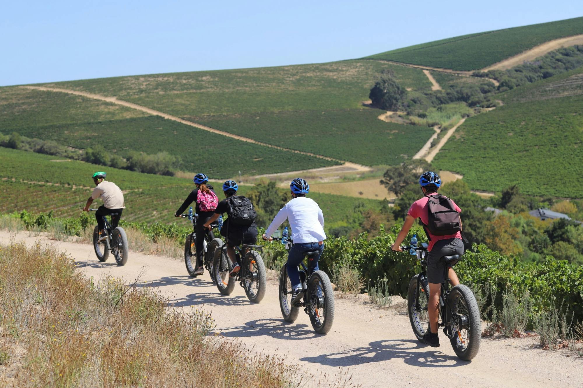 Excursão de dia inteiro em E-Bike Cape Winelands saindo da Cidade do Cabo