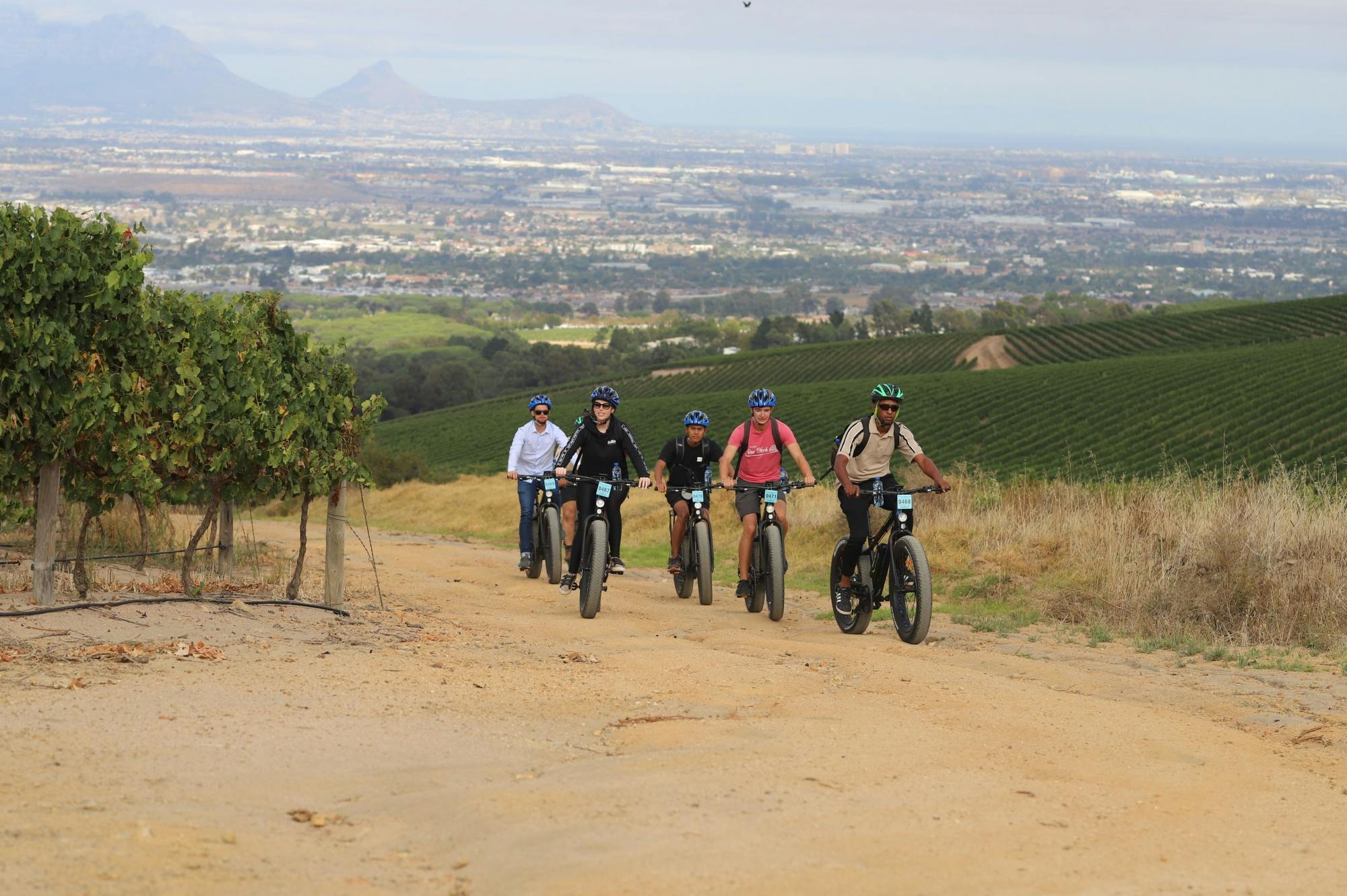 Excursão de meio dia em E-Bike Cape Winelands saindo da Cidade do Cabo