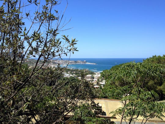 Visita guidata a piedi dei giardini di Ischia con degustazione di vini