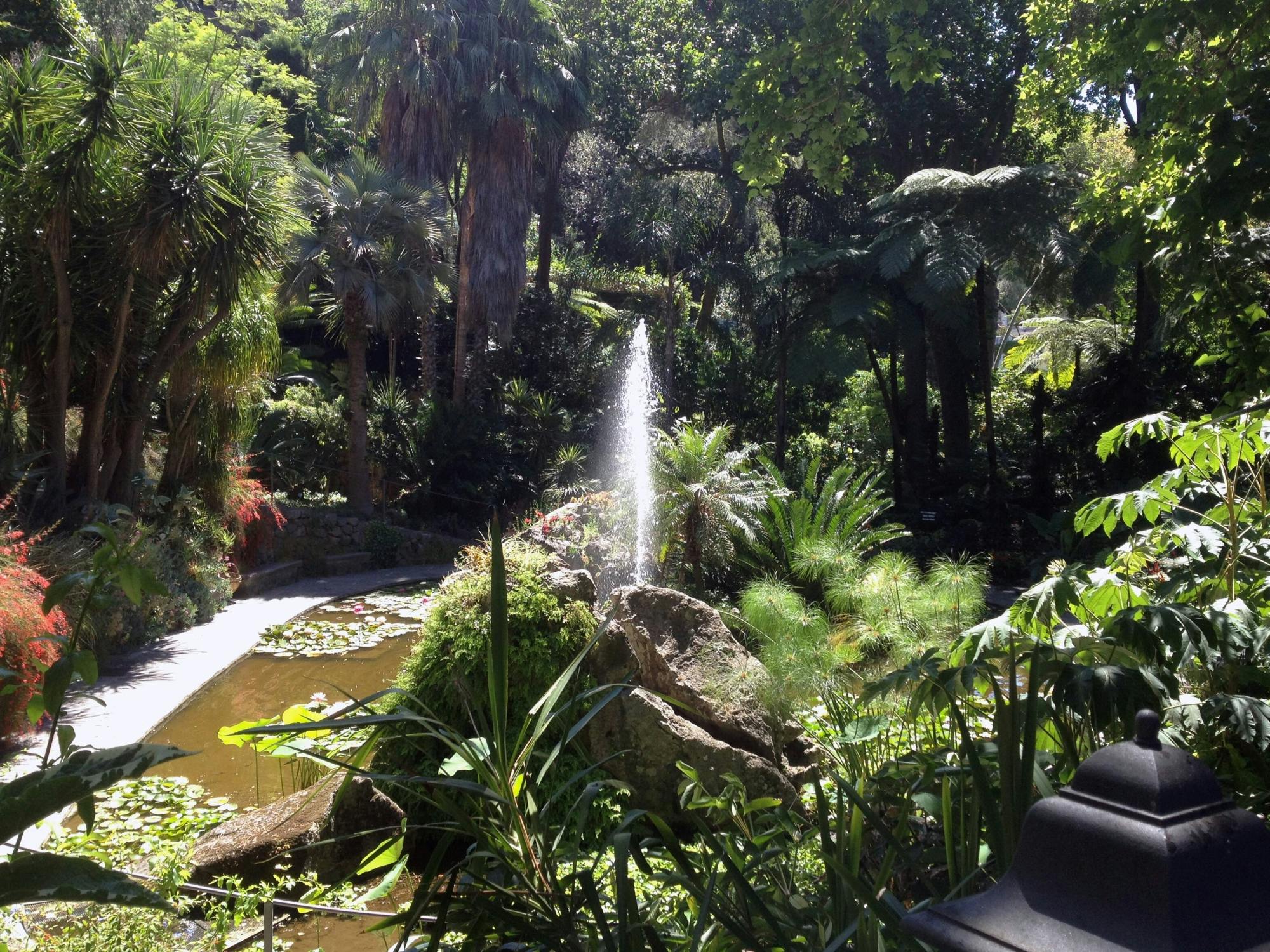 Guided walking tour of Ischia’s gardens with wine-tasting