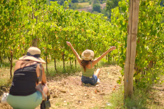 Tour del Chianti con due degustazioni di vini da Firenze