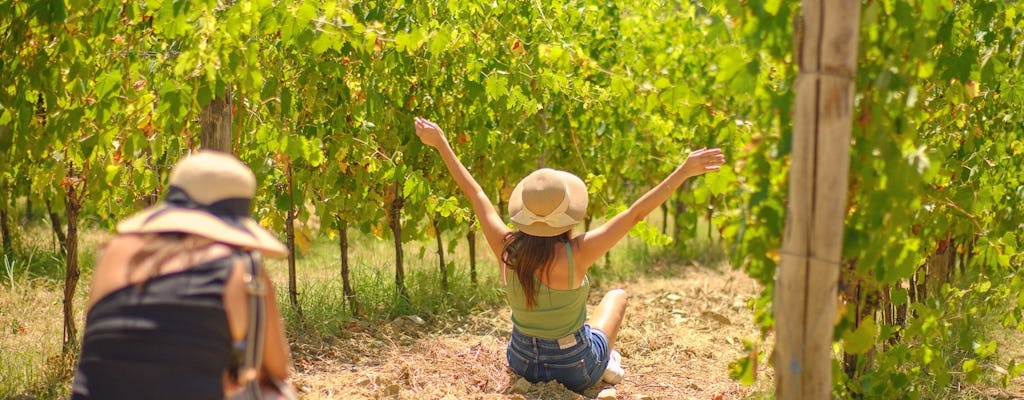 Chianti tour with two wine tastings from Florence