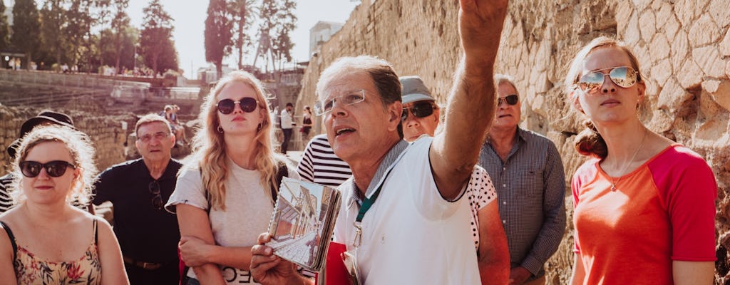 Herculaneum Small Group Tour With an Archaeologist