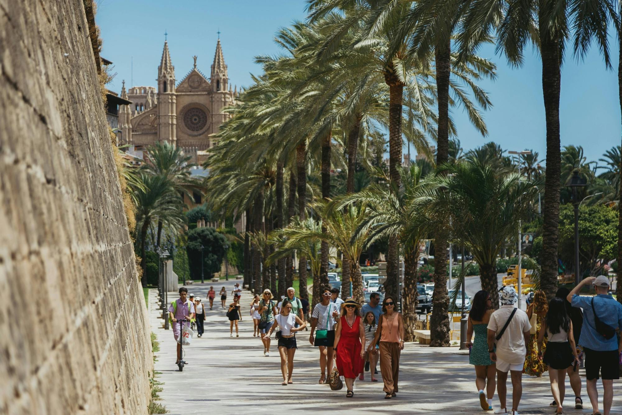 Palma Tours with Cathedral and Valldemossa Options