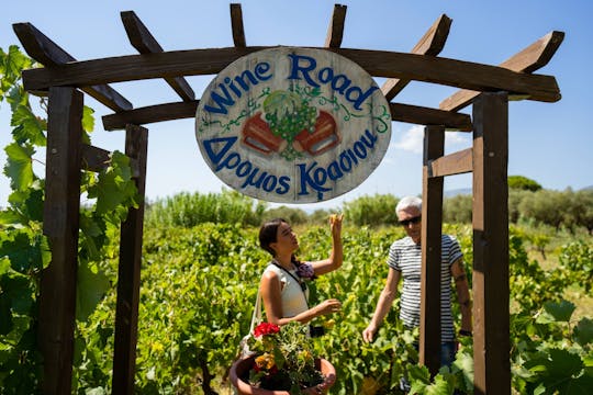 Visite de Zante avec balade en bateau aux grottes Bleues et dégustation de vin