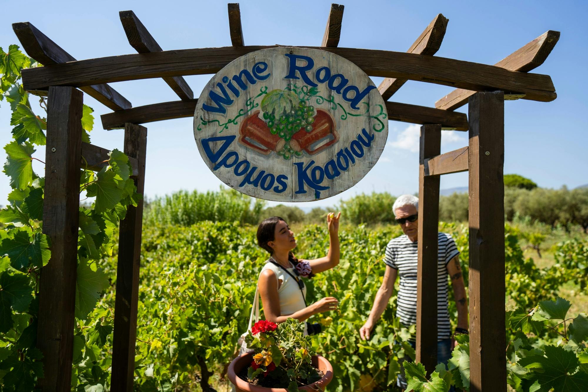 Excursión a Zante con paseo en barco por las cuevas azules y cata de vinos