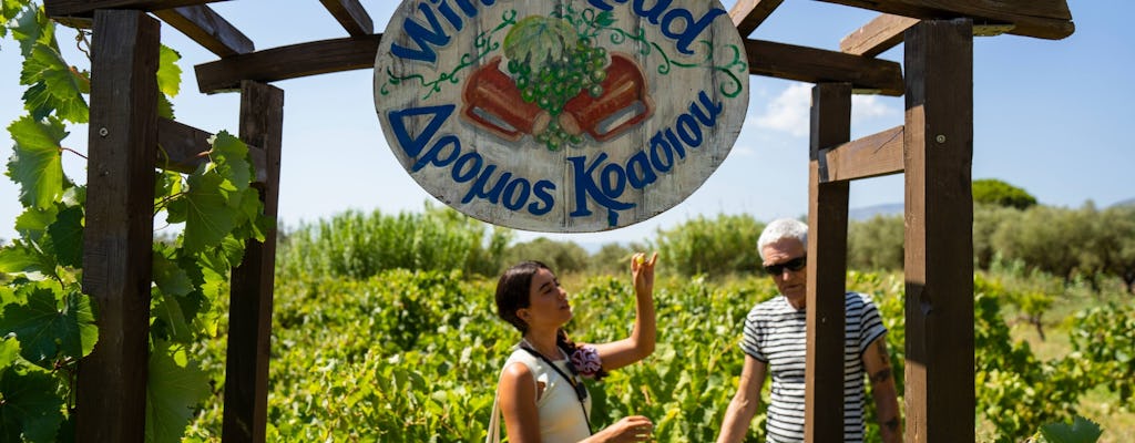 Tour di Zante con gita in barca alle Blue Caves e degustazione di vini