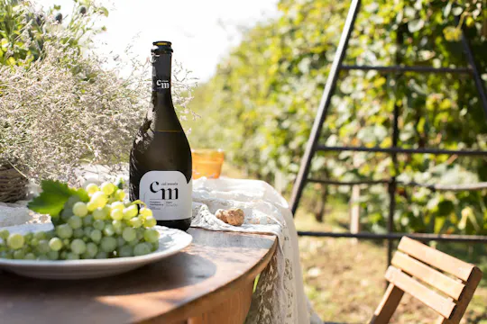 Wine Tasting Tour in Prosecco Hills in Veneto