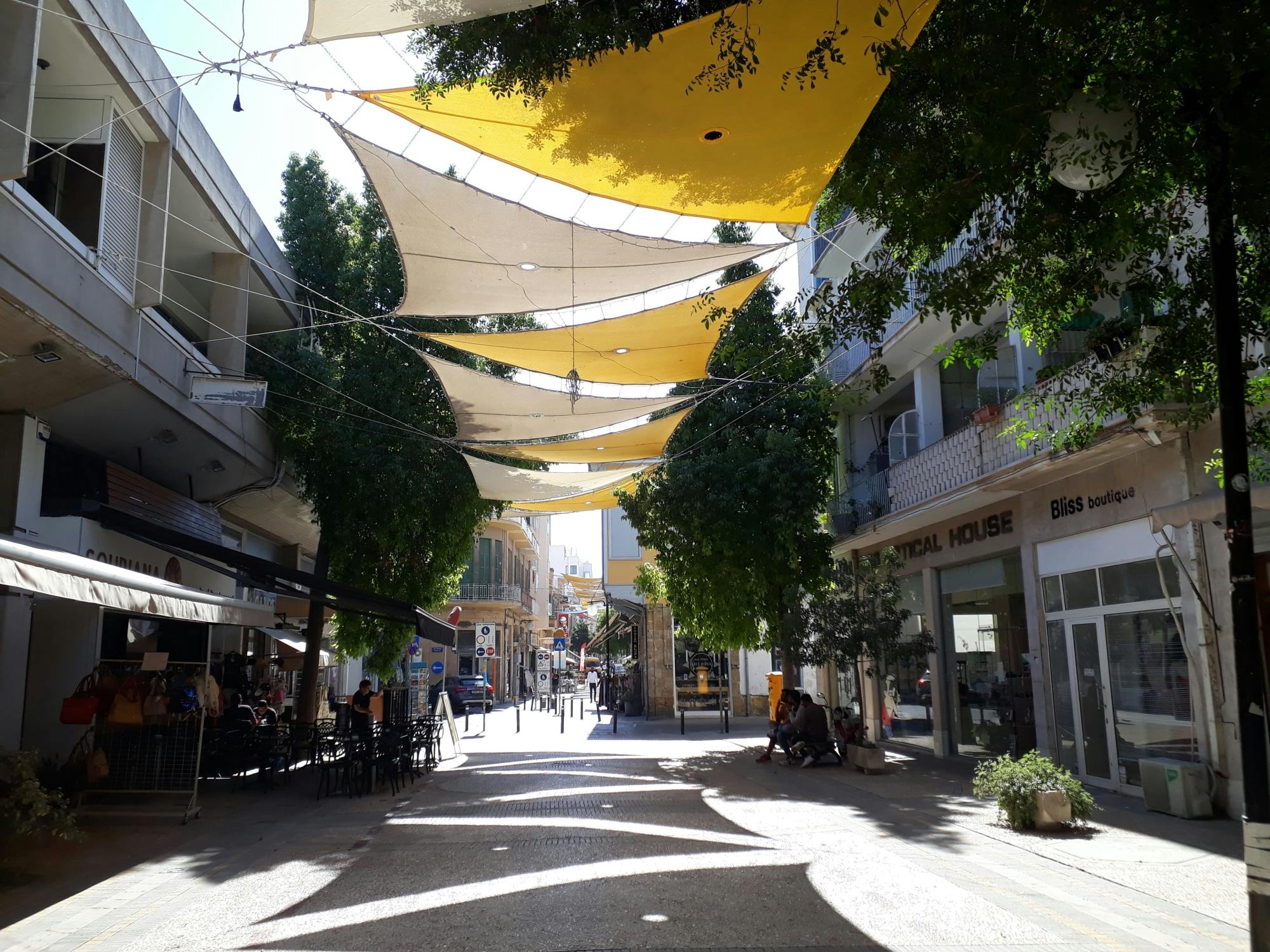 Walking tour of Nicosia with guide