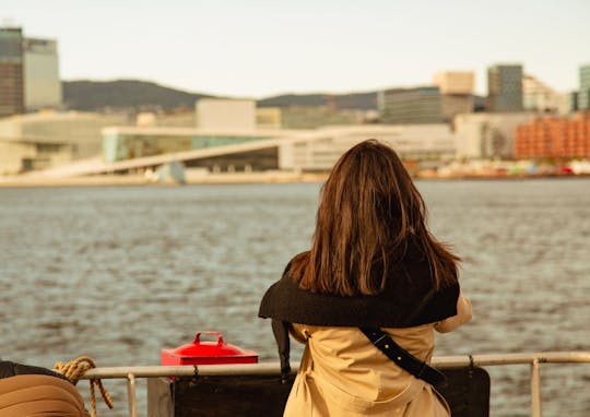 Tour in barca elettrica con audioguida del fiordo di Oslo