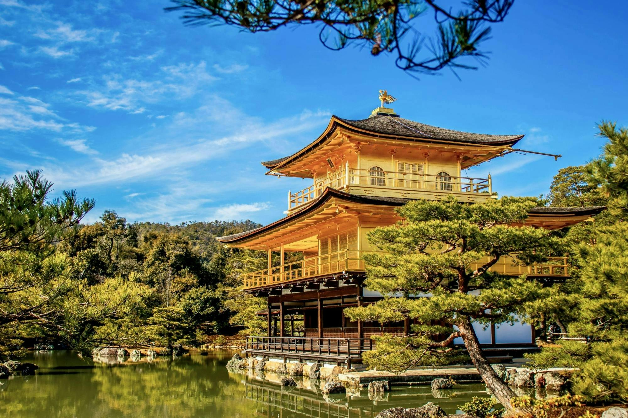 Excursion d'une journée à l'ancien pèlerinage japonais