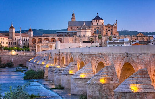 Córdoba Full-Day Tour from Costa del Sol