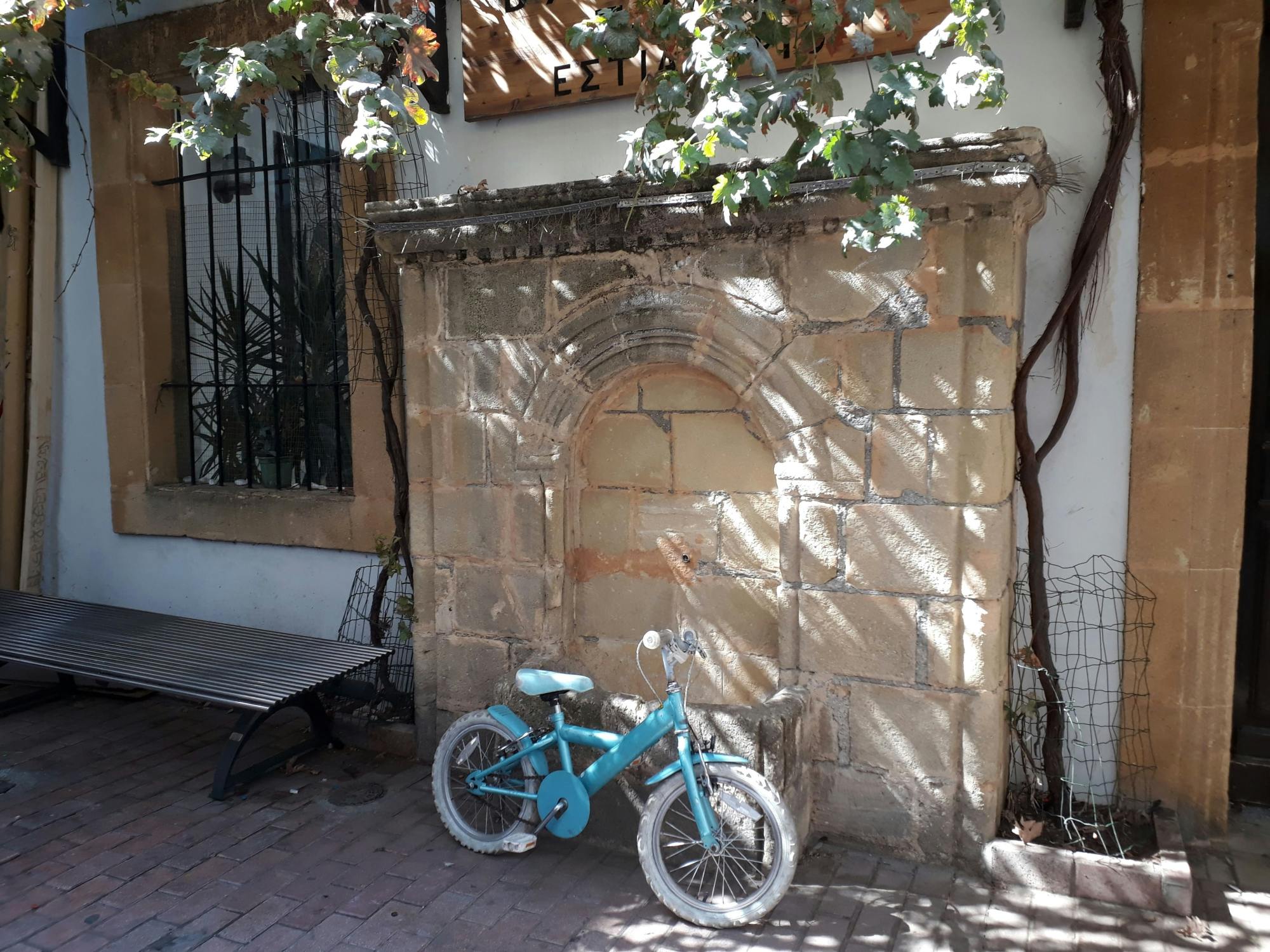 Walking tour of Nicosia with guide