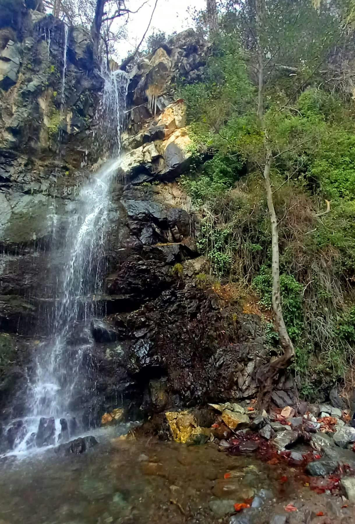 Caledonia Waterfalls tour with local guide