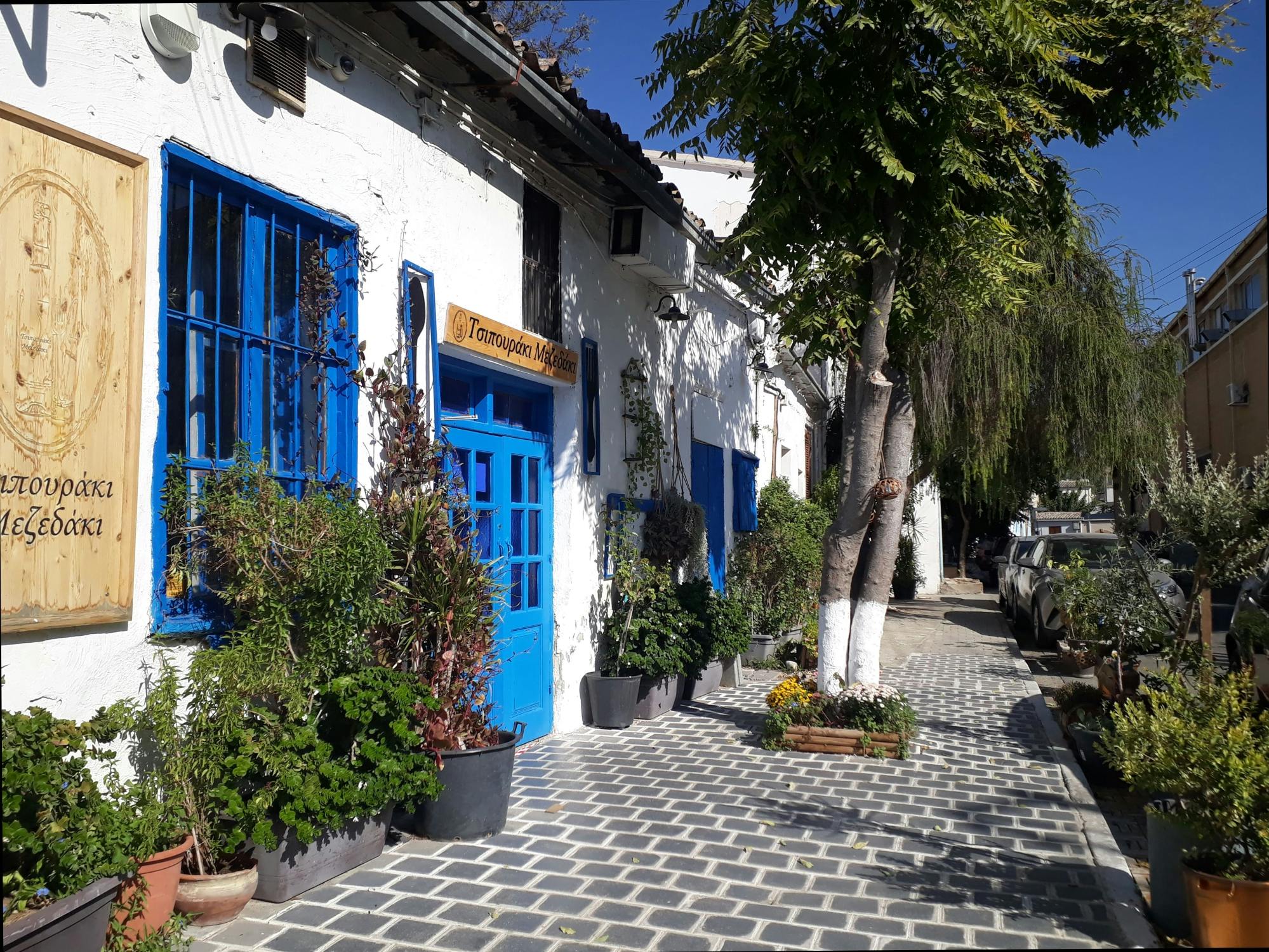 Southern Nicosia walking tour with a local guide