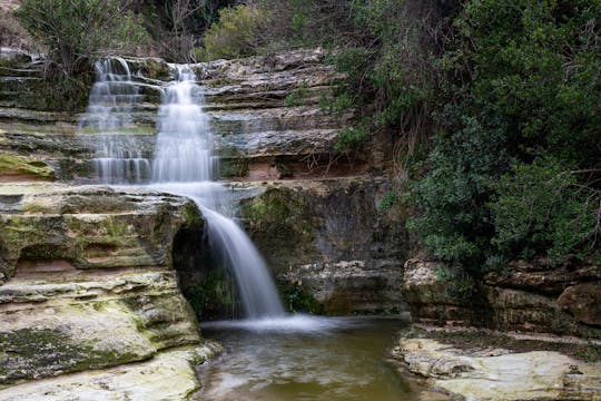 Journée de visite des cascades de Calédonie avec guide et repas