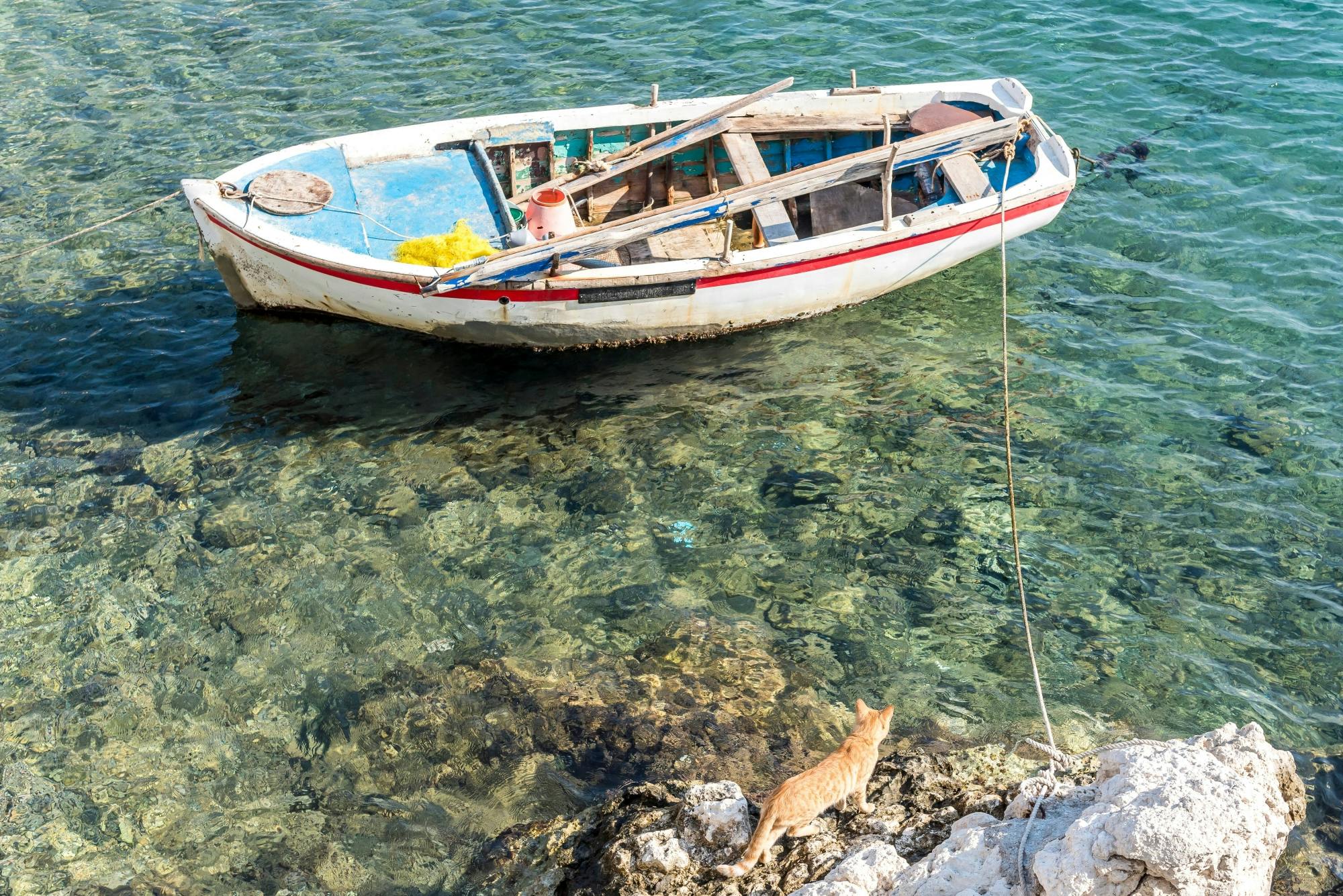 Day Trip to Greek Island of Samos