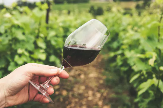 Visite guidée des vignobles et dégustation de vins au départ de Kavala avec transport