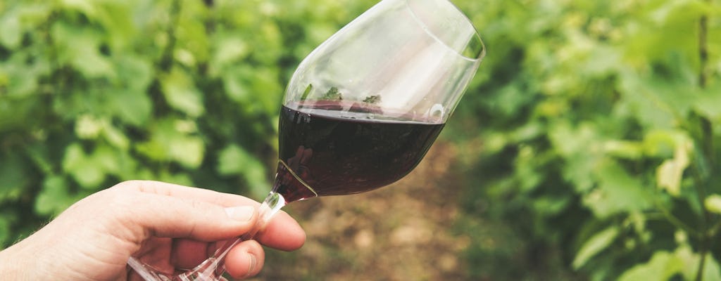 Wineries Guided Tour and Wine Tasting from Kavala with Transportation