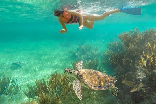 Snorkeling guidato nella barriera corallina di Puerto Morelos con pranzo da Cancun