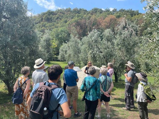 Gardasee Olivenölmühle und Weinkeller Tour mit Salò Besuch