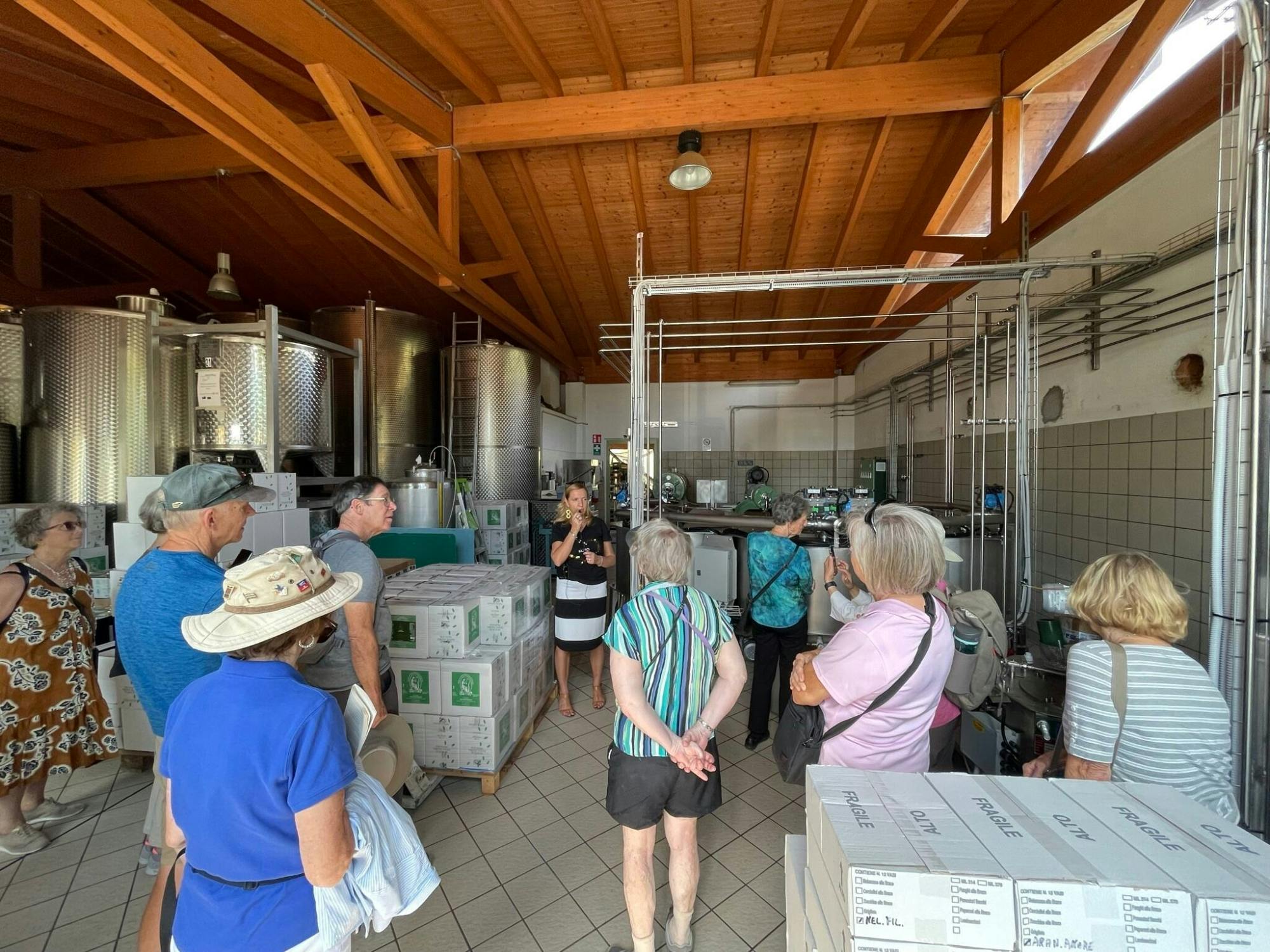 Lake Garda Olive Oil Mill and Winery Tour with Salò Visit