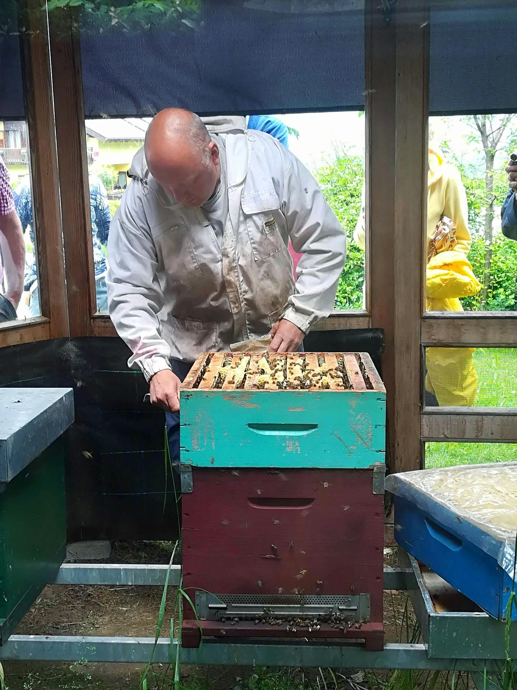 Lake Molveno Honey and Liqueur Tastings