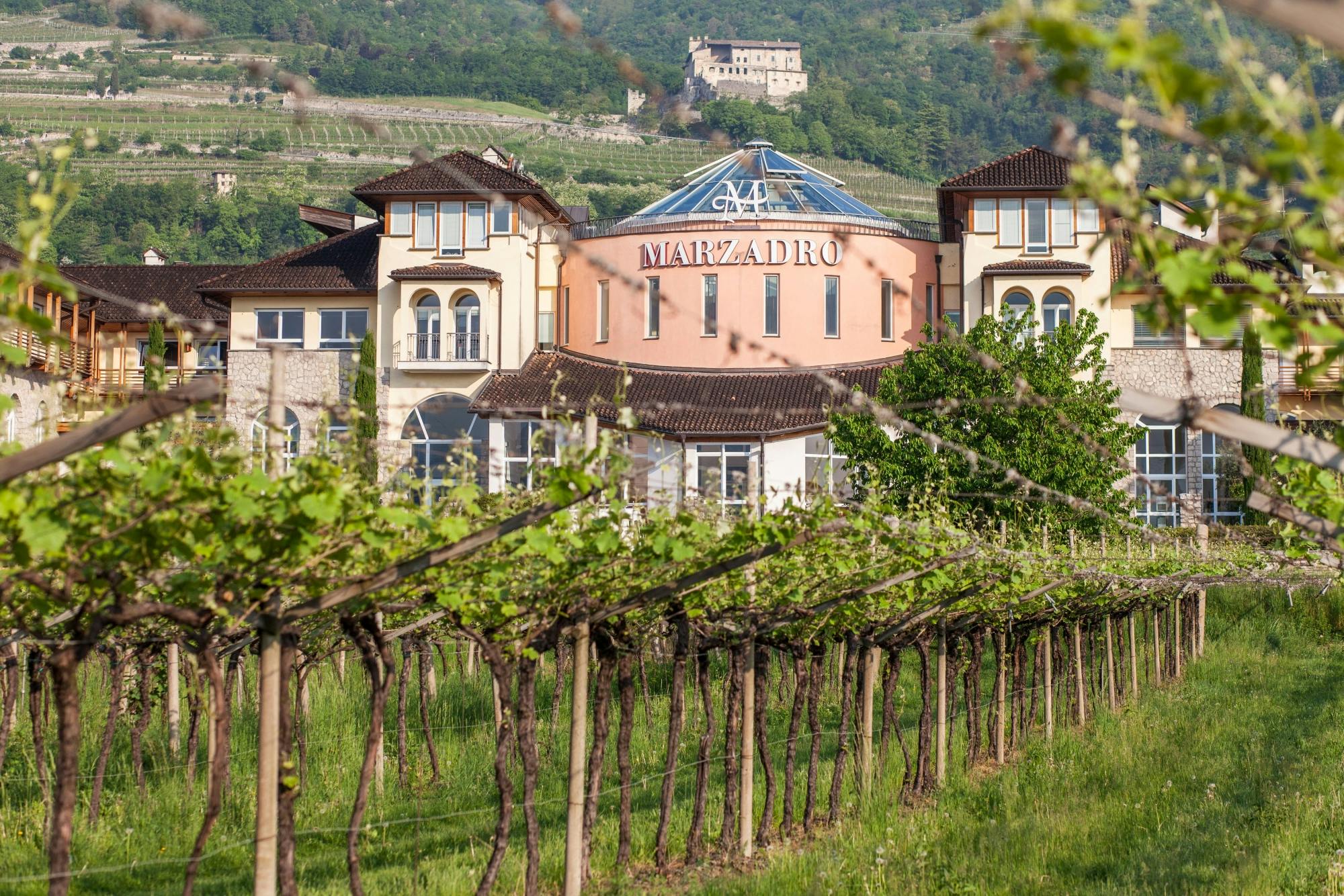 Lake Molveno Honey and Liqueur Tastings