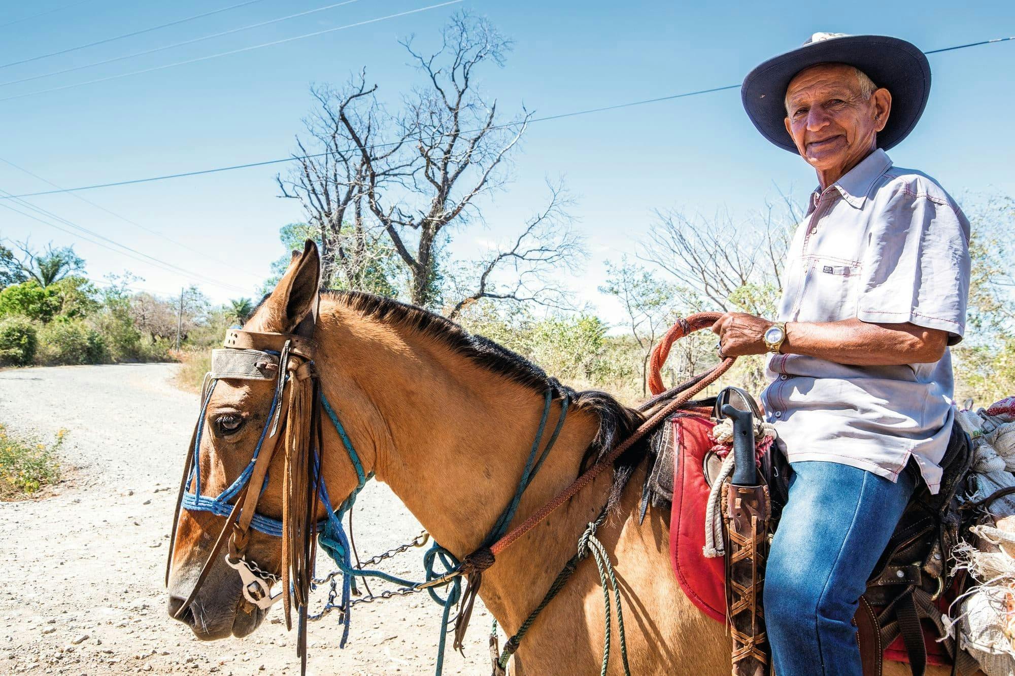 Palo Verde National Park Tour with River Tempisque Cruise