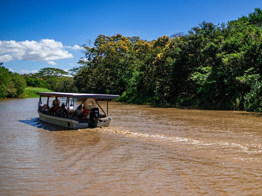 Palo Verde National Park Tour with River Tempisque Cruise