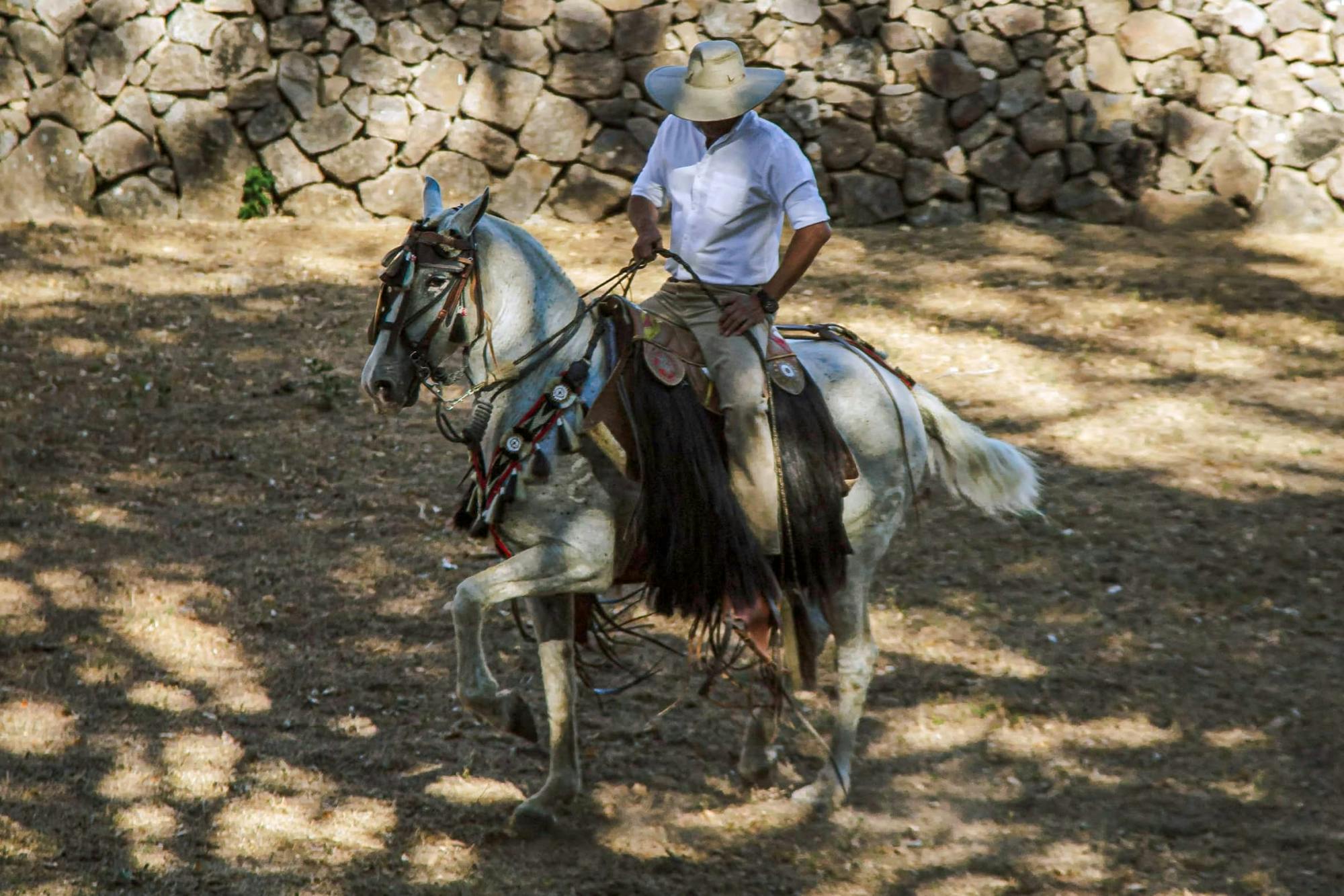 Palo Verde National Park Tour with River Tempisque Cruise