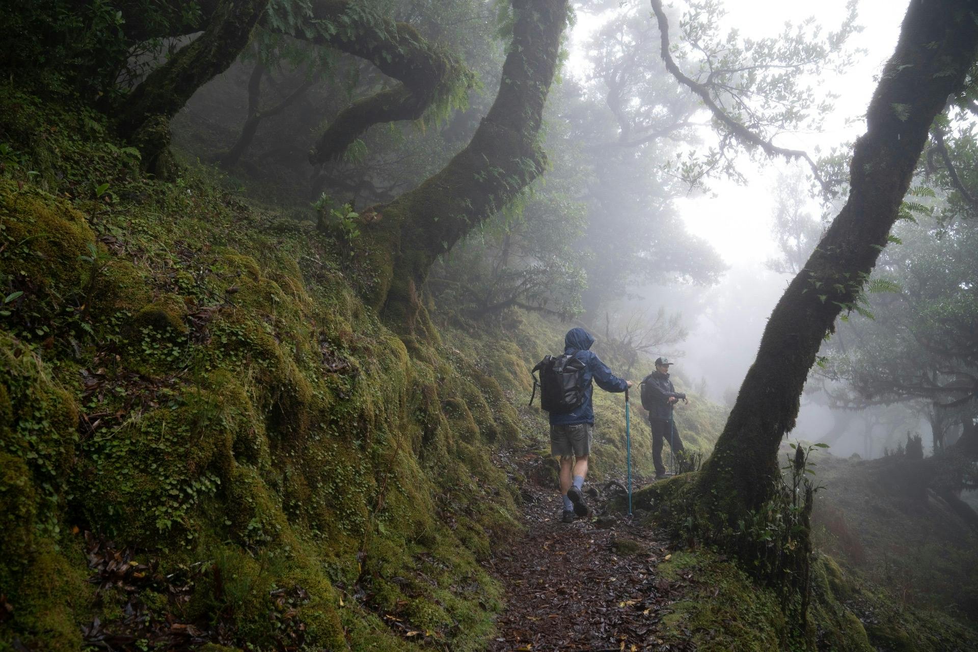 Transfer para a Levada do Caldeirão Verde com Pick-Up