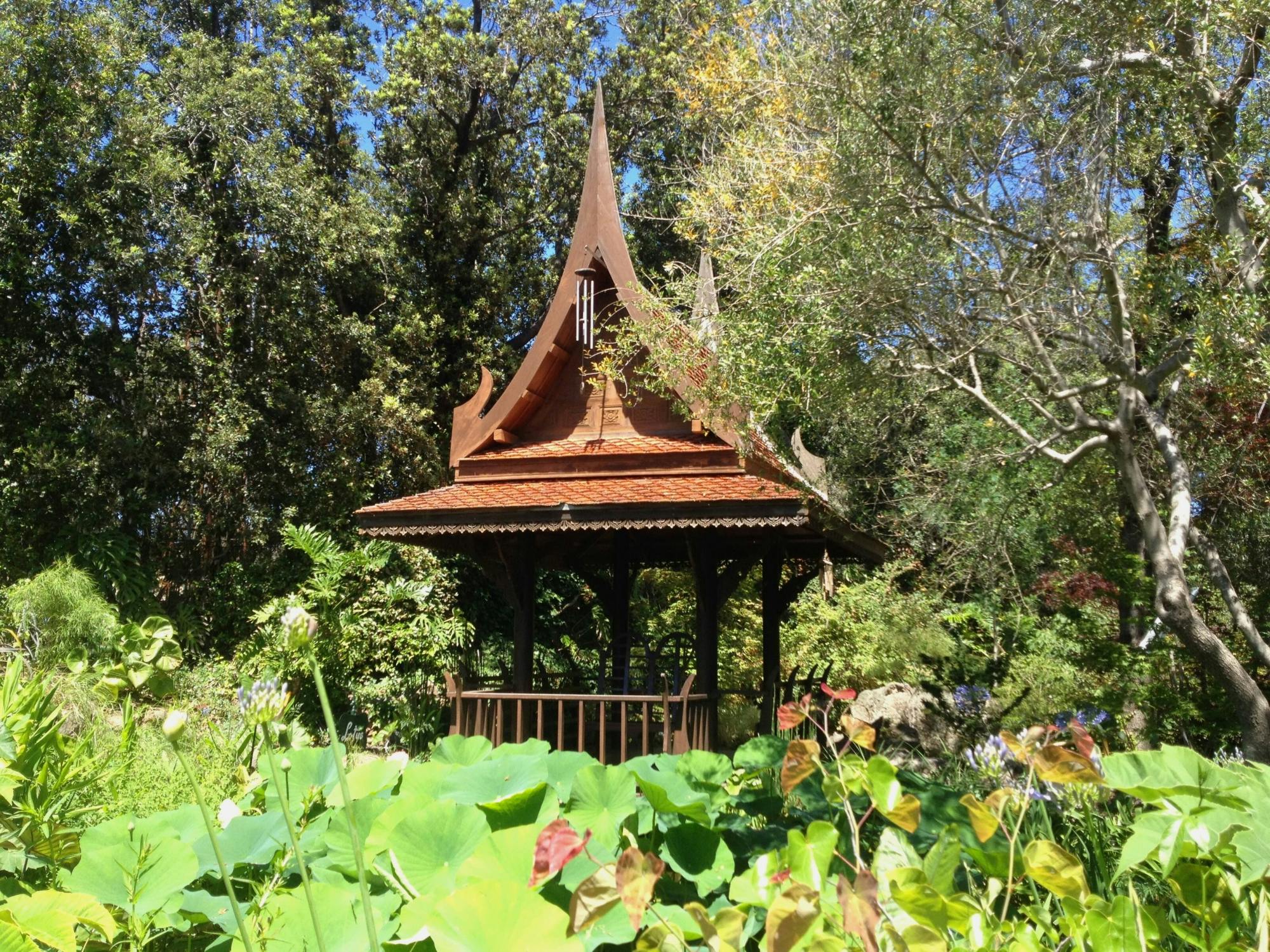 Guided walking tour of Ischia’s gardens with wine-tasting