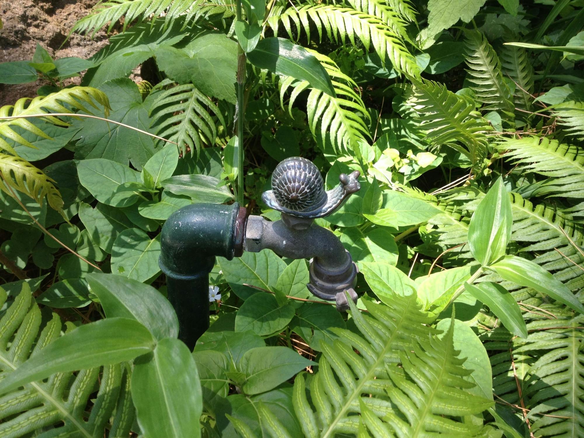 Guided walking tour of Ischia’s gardens with wine-tasting