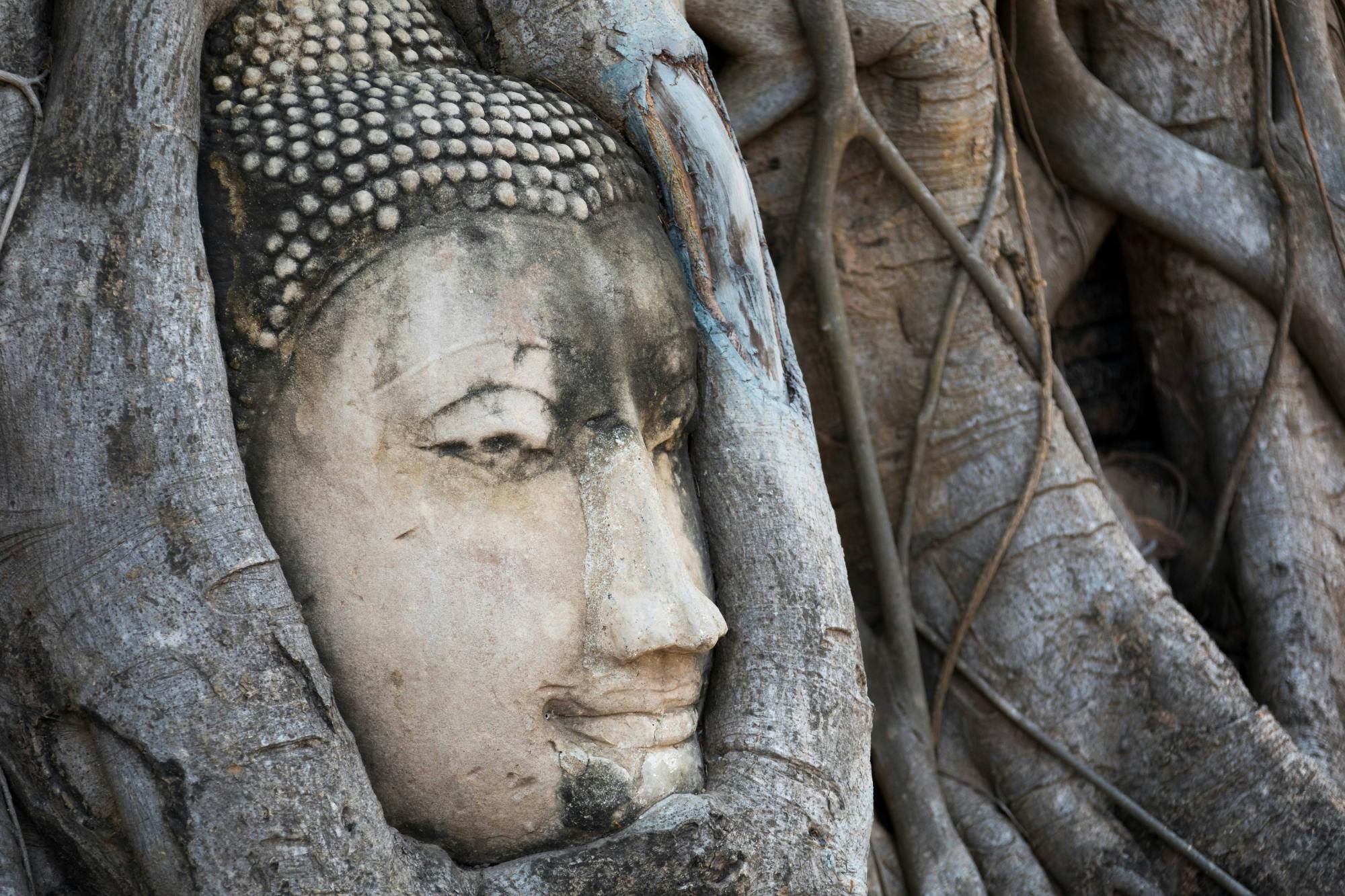 Ancient Ayutthaya By Road Small Group Tour