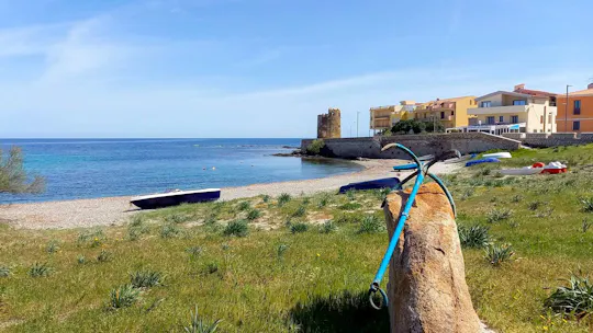 Udflugt til Sardiniens nordøstlige strande med egen tid og is
