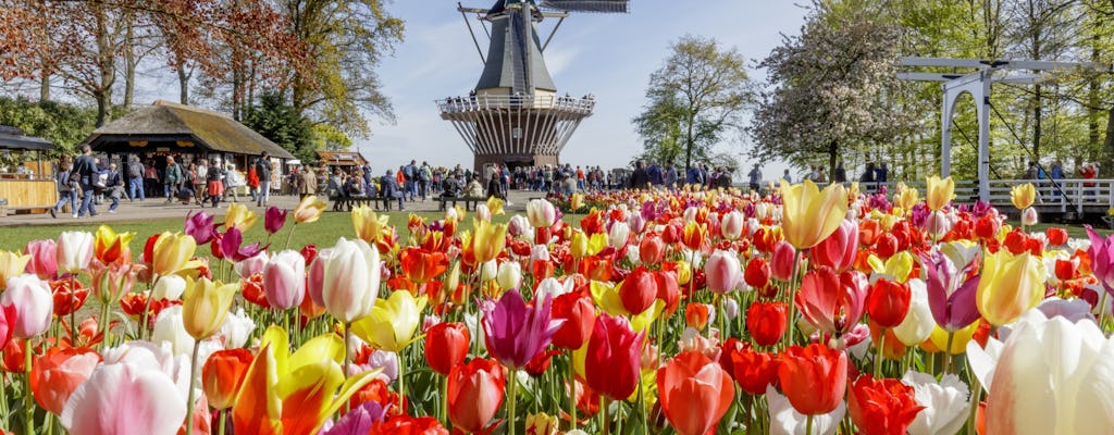 Dutch Countryside and Keukenhof Gardens Full-Day Tour from Brussels