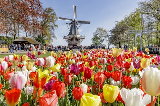 Dutch Countryside and Keukenhof Gardens Full-Day Tour from Brussels