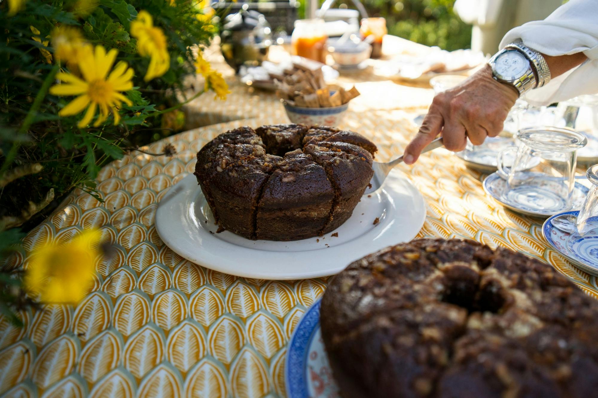 Nat Geo Day Tour: Sustainable Agriculture in Quinta Pedagogica da Camacha