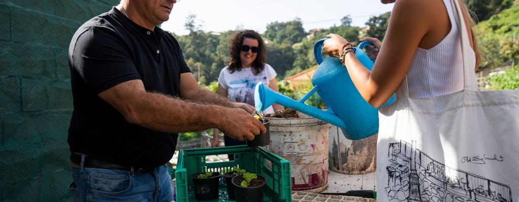 Nat Geo Day Tour : Découverte de l’agriculture locale et de la culture en terrasse de Madère