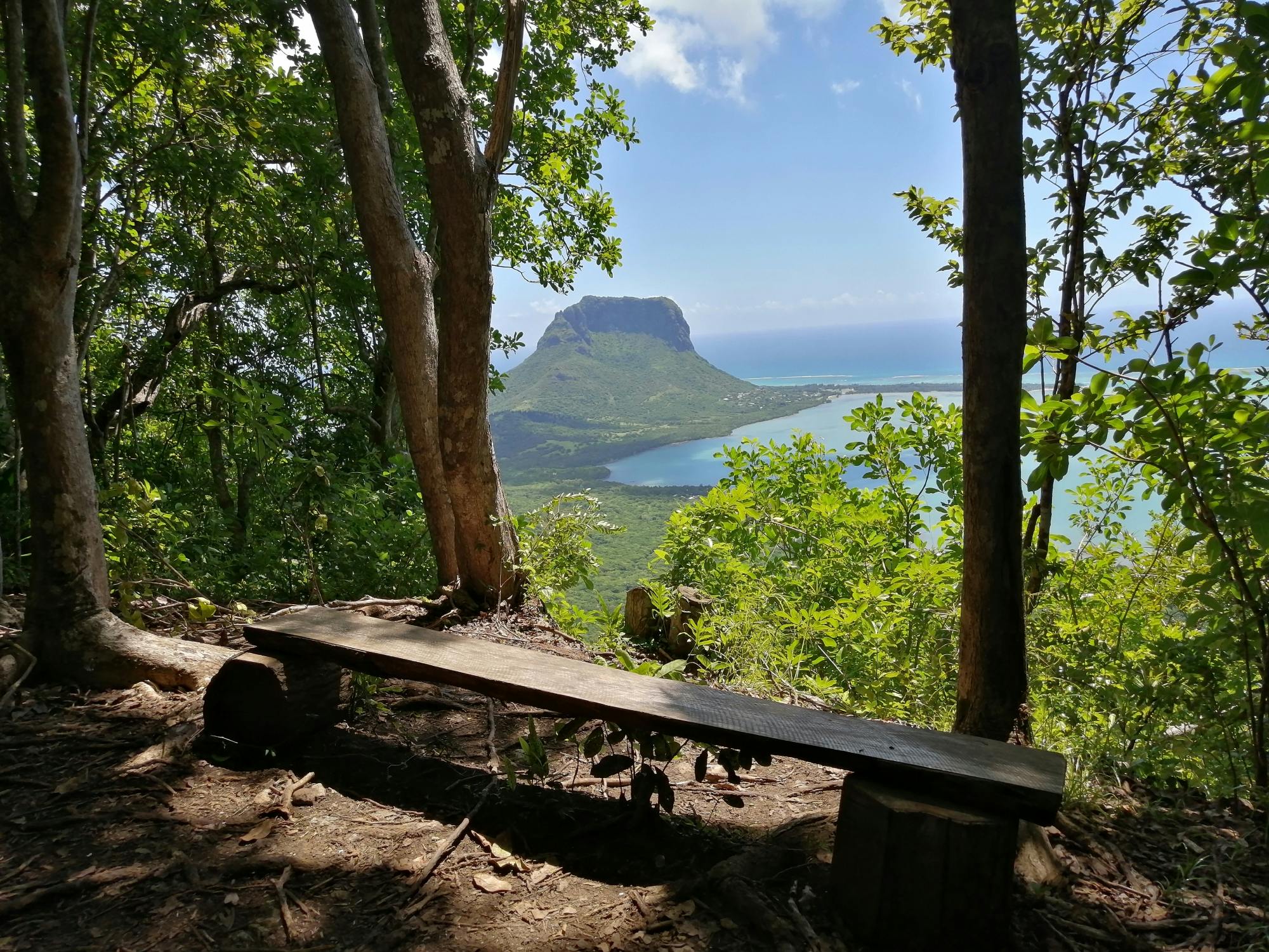 Eco-tour nature à l'île Maurice avec visite de la forêt d'ébène