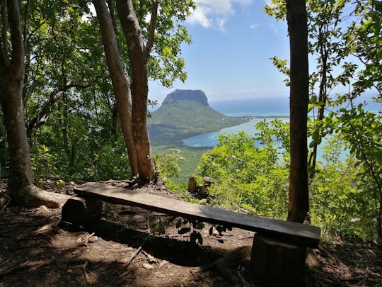 Mauritius Nature Eco-Tour with Ebony Forest Visit