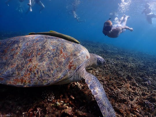 Koh Tao Late Risers Island Hopping Tour bij zonsondergang